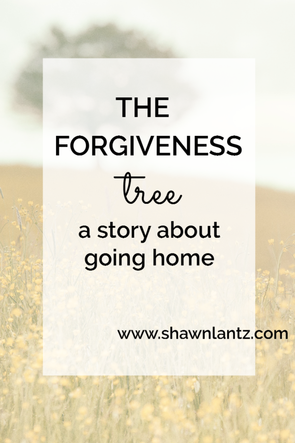 The Forgiveness Tree